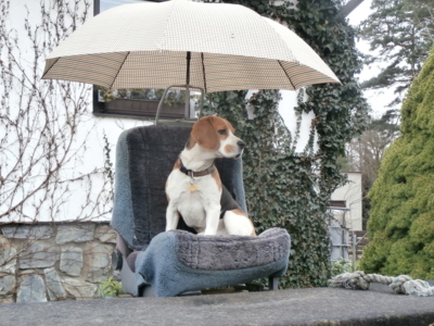 Nic mě nepřekvapí