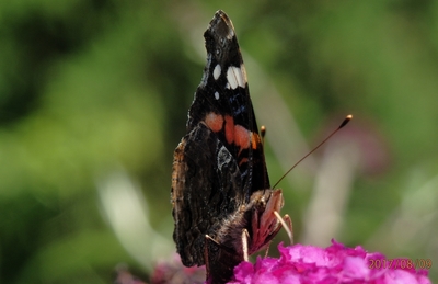 Vidím tě.svou krásu ti neukážu