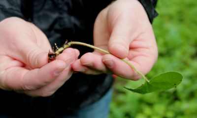 Víte, kdo mě opyluje?