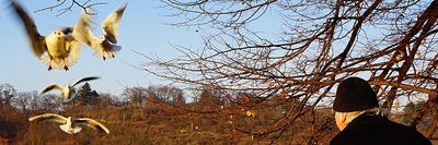 Vše nejlepší do nového roku 2017