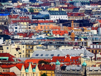 Mraveniště velkoměsta