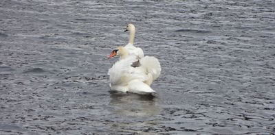 Vybral jsem si dobře, že?