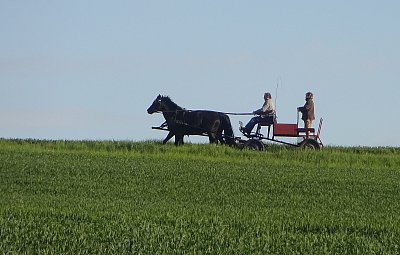 Směr jaro!