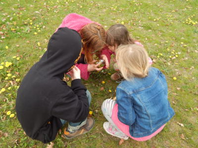 A máme hady a štíry...