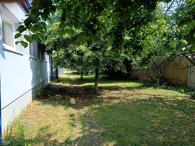 Vyšlapaná cestička