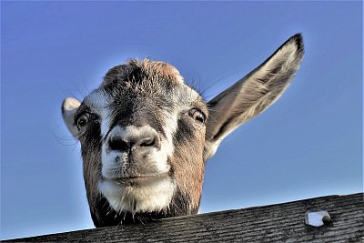 Krásný den s úsměvem.