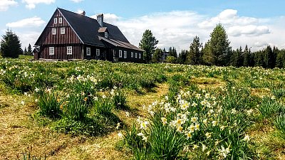 Vzpomínková pro účastníky setkání i60 2019