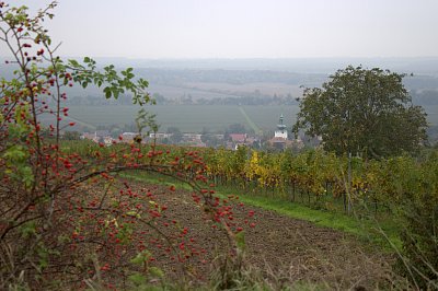 Vesnička Přítluky