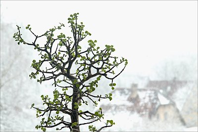 Za oknem je pravá zima - 11.3.2023