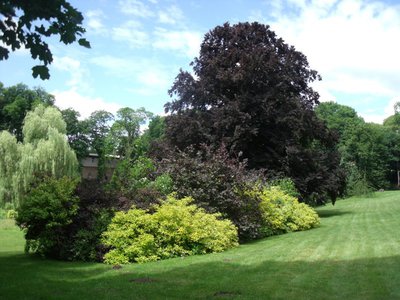 Zámecká zahrada - Chyše