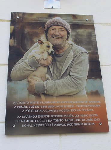 Bolek