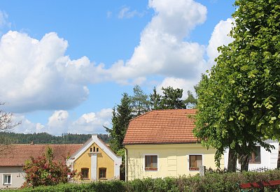 Náves