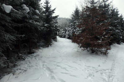 Zasněžené rozcestí..