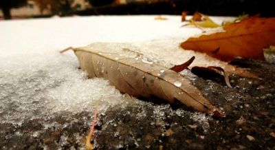 Zazáblo mě, na chviličku ... (2)