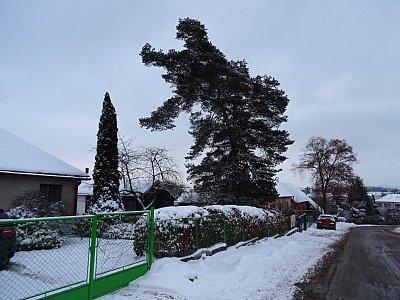 Zima ještě vládne..