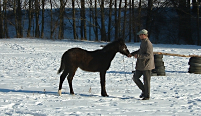 Zimní výcvik