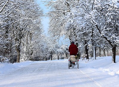 Nakoupeno a hurá domů.