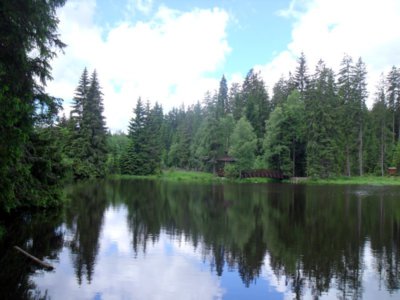 Zrcadlení - Kyselý rybník