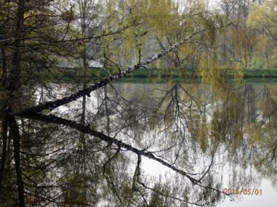 Ráno u rybníku Borovina