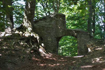 Zřícenina hradu Rožnov