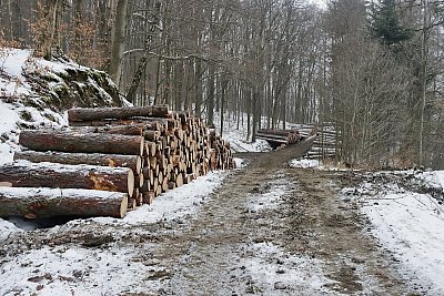 .... a ještě odvézt