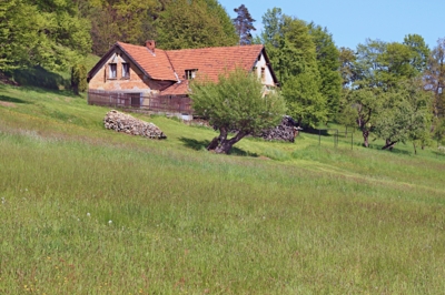 ... a tráva roste jako divá