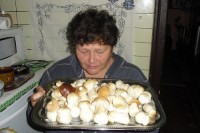 houby moje hoby