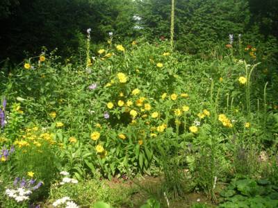 arboretum-bila-lhota-116-.jpg