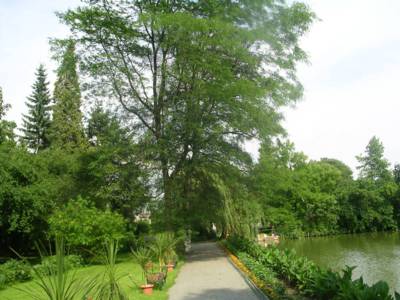 arboretum-bila-lhota-118-.jpg