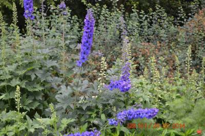 arboretum-bila-lhota-21--1.jpg