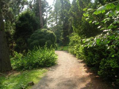 arboretum-bila-lhota-7-.jpg