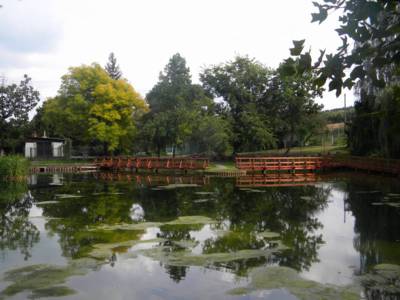 arboretum-bila-lhota-rybnicek-1-.jpg