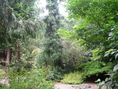 arboretum-boskovice.jpg