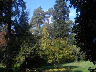 arboretum-nove-dvory-u-opavy-27-.jpg