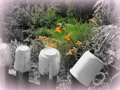 ...jedna slezská zahrádka...