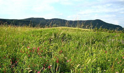 Pohled od Bílé stráně na horský hřeben na severovýchodě.