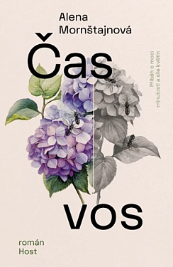 bmid_cas-vos.png