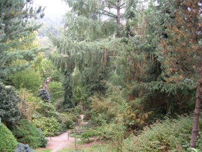 boskovice-a-arboretum.jpg
