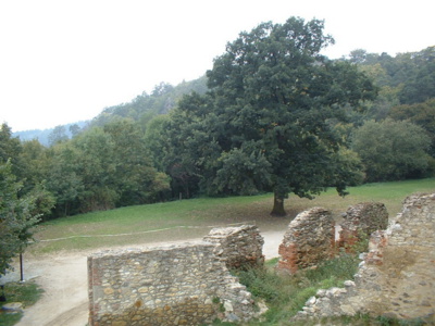 boskovice-hrad.jpg