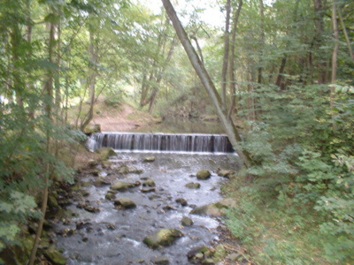 boskovice-potok-pod-arboretem.jpg