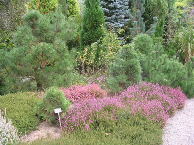 boskovicke-arboretum.jpg