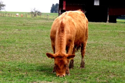 Zdravíčko, jdu pozdravit na íčko