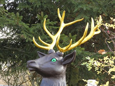 Potkala jsem jelena zlatoparohatého