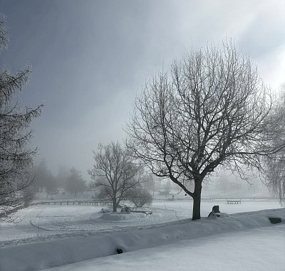 Svítání v Jizerkách