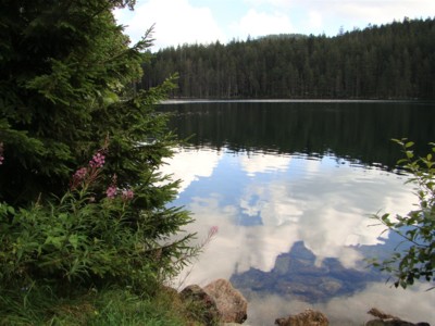 Černé jezero na Šumavě