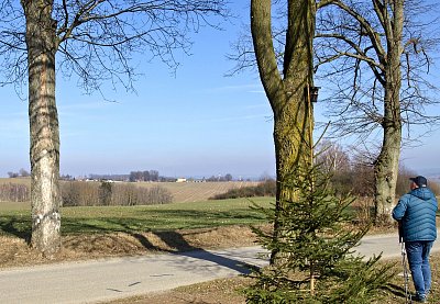 Cesta z města (nesoutěžní)