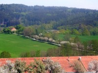 Cesta mezi Ohrazenicemi a Tažovicemi v květnu 2014