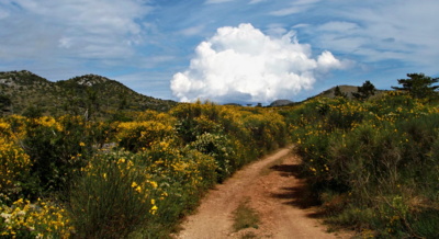 Cesta do nebe ( nyní doporučený ořez )