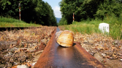 Cestovatel na kolejích