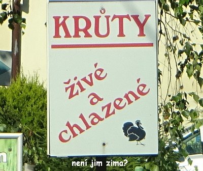 chlazene-kruty.jpg